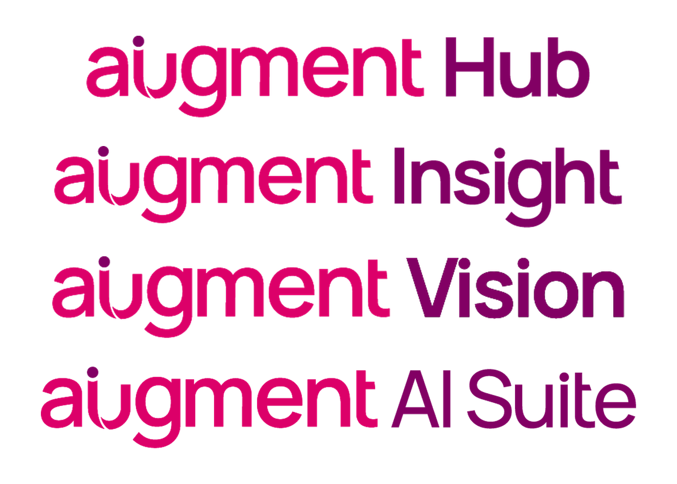 Augment Group's product wordmark family: Hub, Insight, Vision, and AI Suite